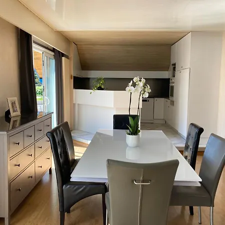 Maison A 2 Pas De Geneve
