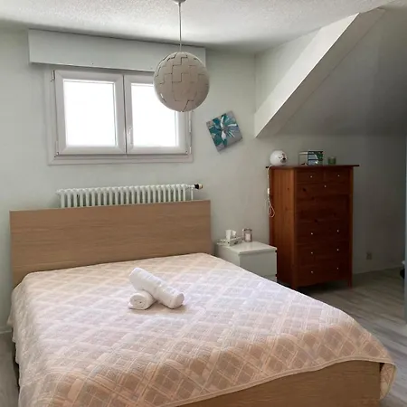 Maison A 2 Pas De Geneve Амбиёи